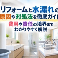 画像224